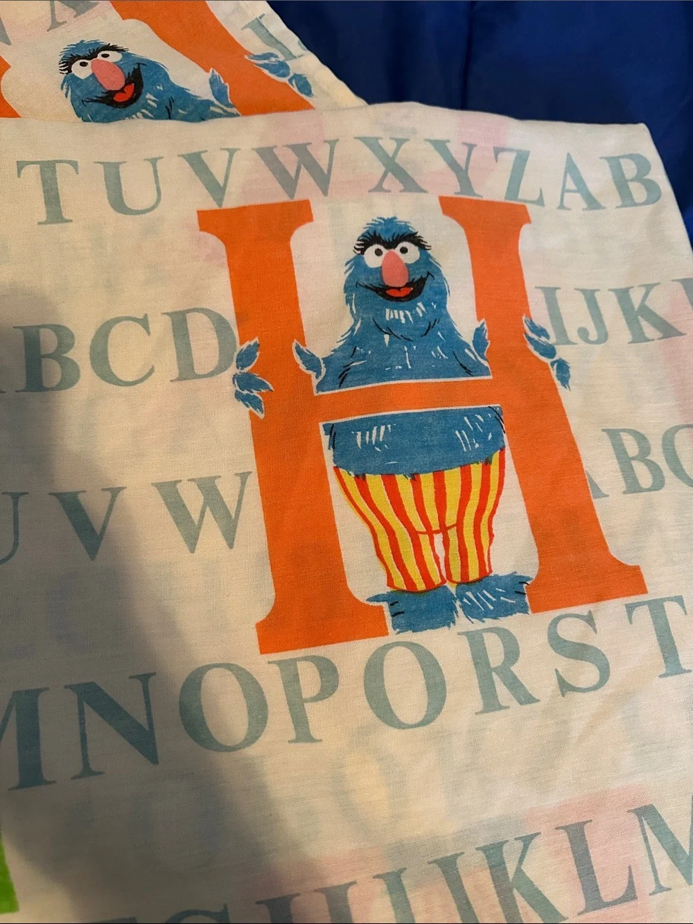 Vintage Sesame Street pillow case and flat twin size sheet